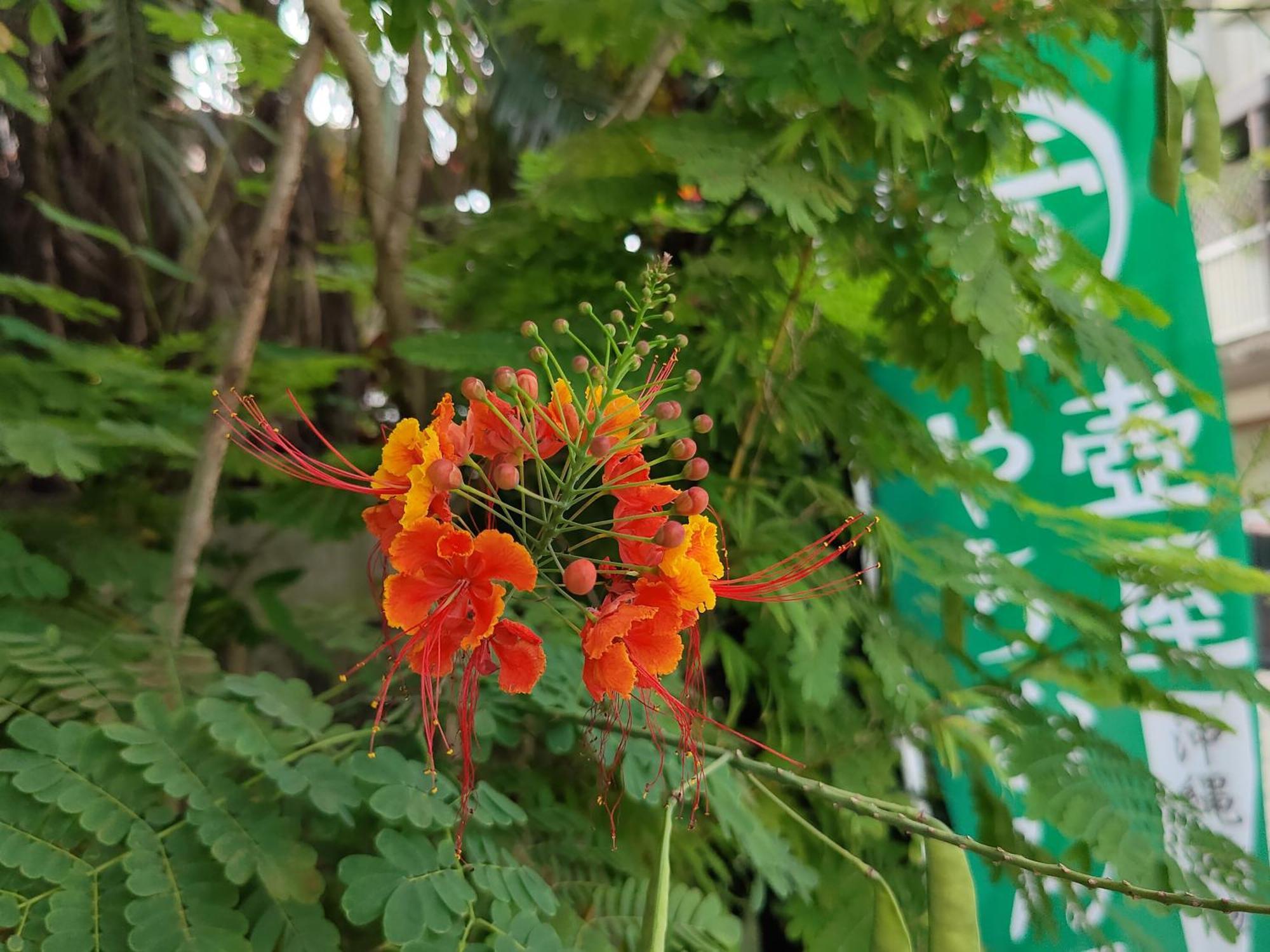 冲绳那霸旭桥托丽芙特酒店 外观 照片