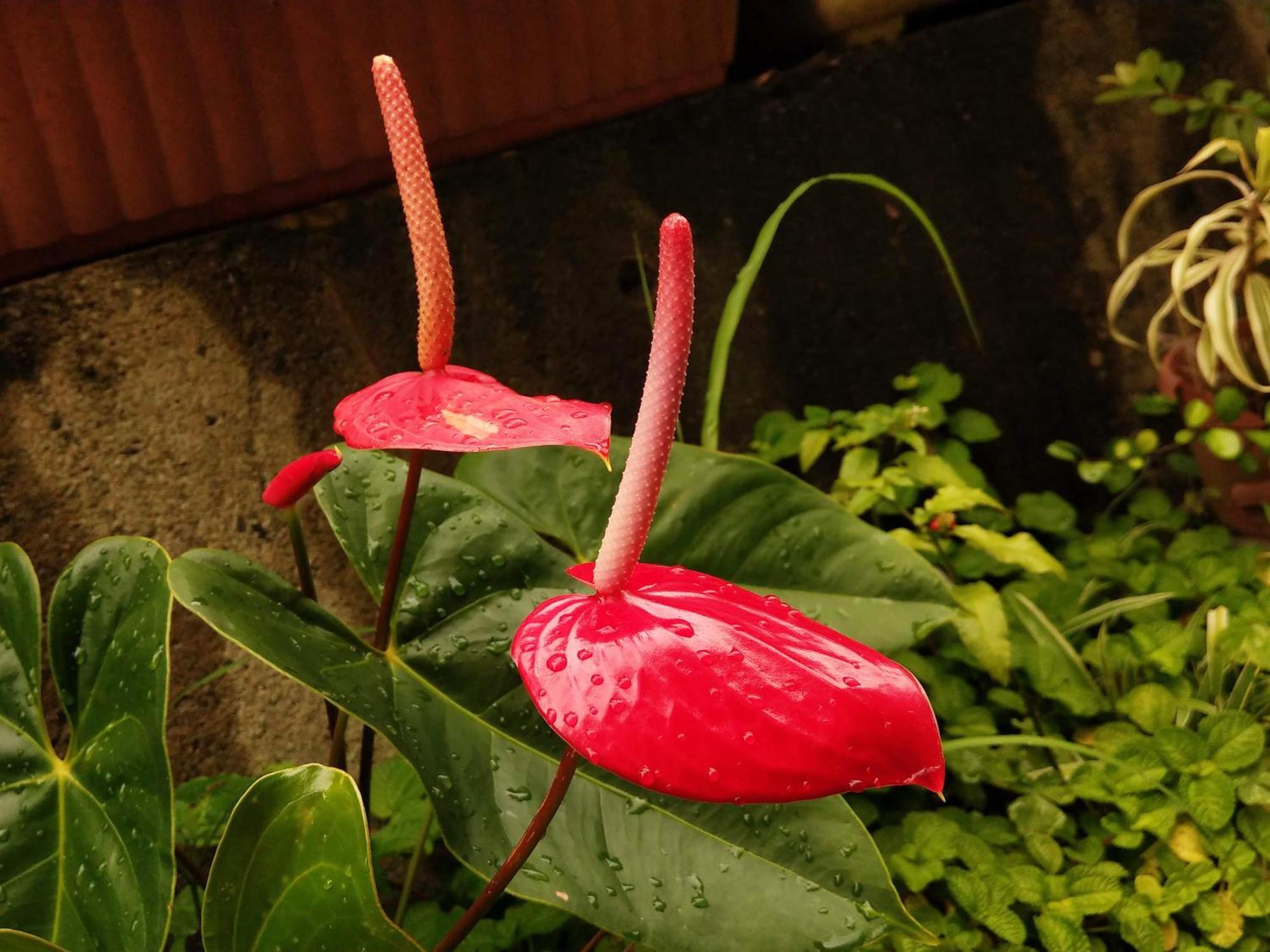 冲绳那霸旭桥托丽芙特酒店 外观 照片